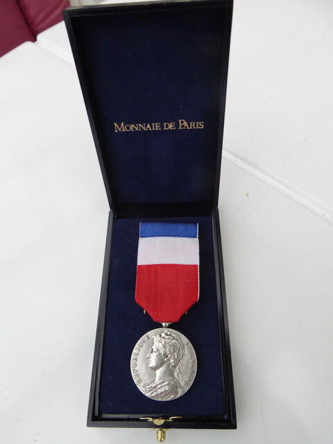 Médaille du travail en argent 10 Bièvres (91)