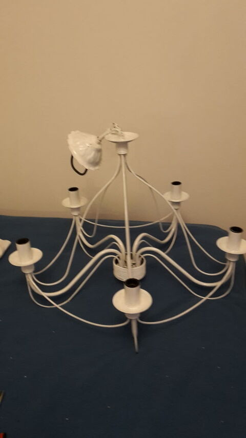 LUSTRES 40 Saint-Georges-de-Didonne (17)