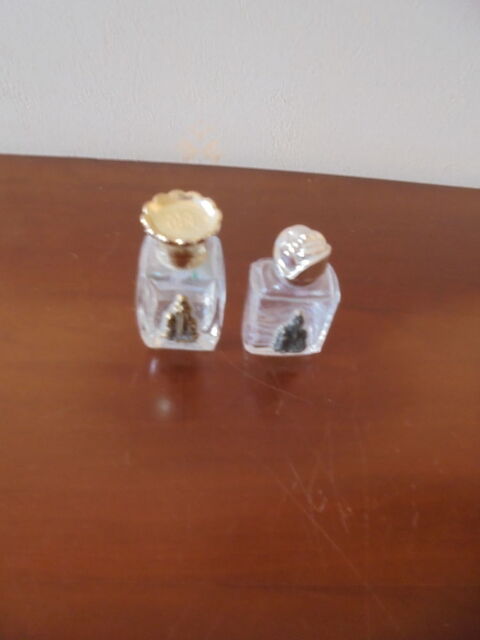 Flacons Lourdes (75) 3 Tours (37)