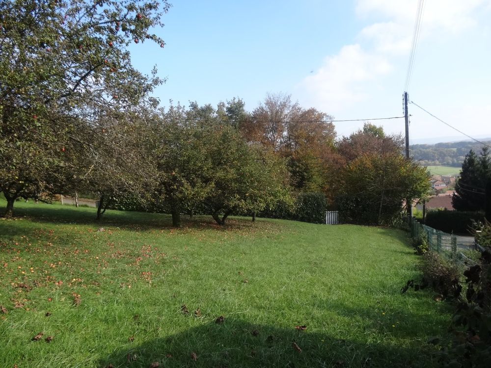Vente Terrain TERRAIN 10 ARES À BART 25420 Bart