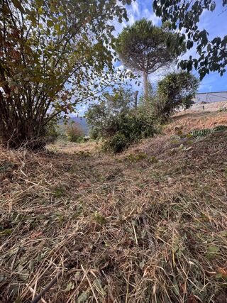  Terrain à vendre 801 m²