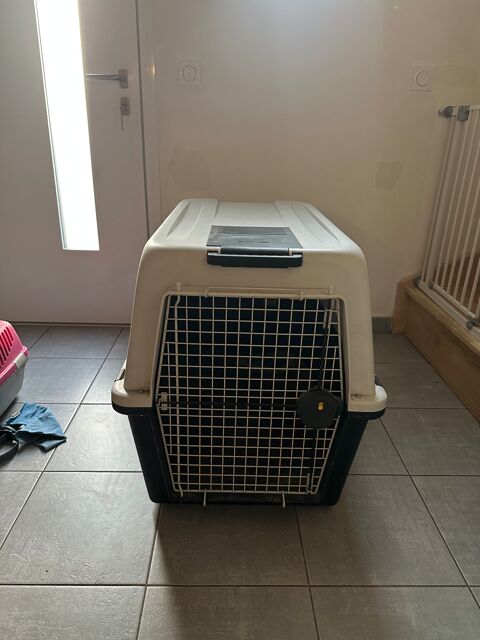 Caisse de transport grand chien 100 91180 Saint-germain-ls-arpajon