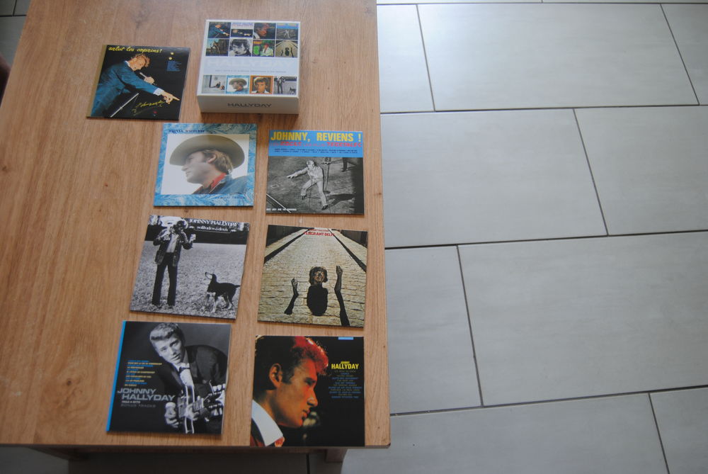 LOT DE JOHNNY HALLYDAY CD et vinyles