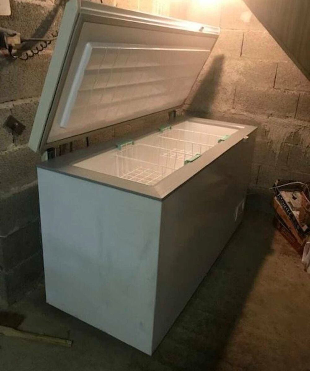 Grand cong&eacute;lateur Brandt 500 L &agrave; vendre avec livraison gratuite &agrave; votre adresse Electroménager