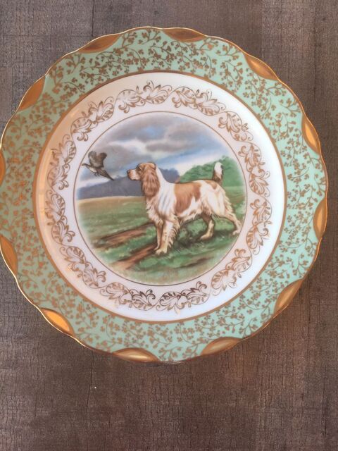 Belle assiette d�corative 30 N�mes (30)