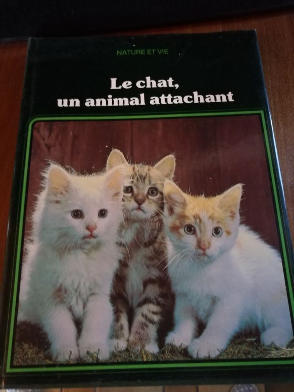 Le Chat, Un Animal Attachant Livres et BD