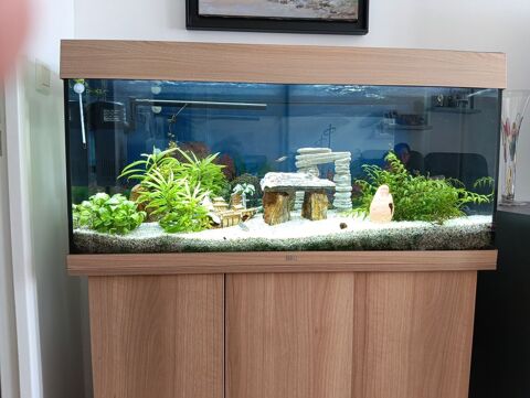 AQUARIUM + MEUBLE 270 85800 Saint-gilles-croix-de-vie