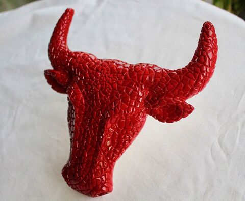   T�TE  DE  TORO    32 Anglet (64)