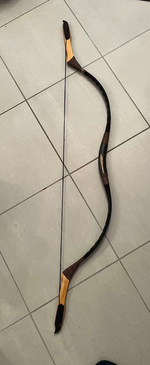 Arc tradi Hongrois 290 Ambutrix (01)