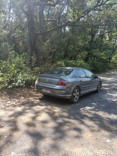 Peugeot 407 1.8e 16v Navteq on Board