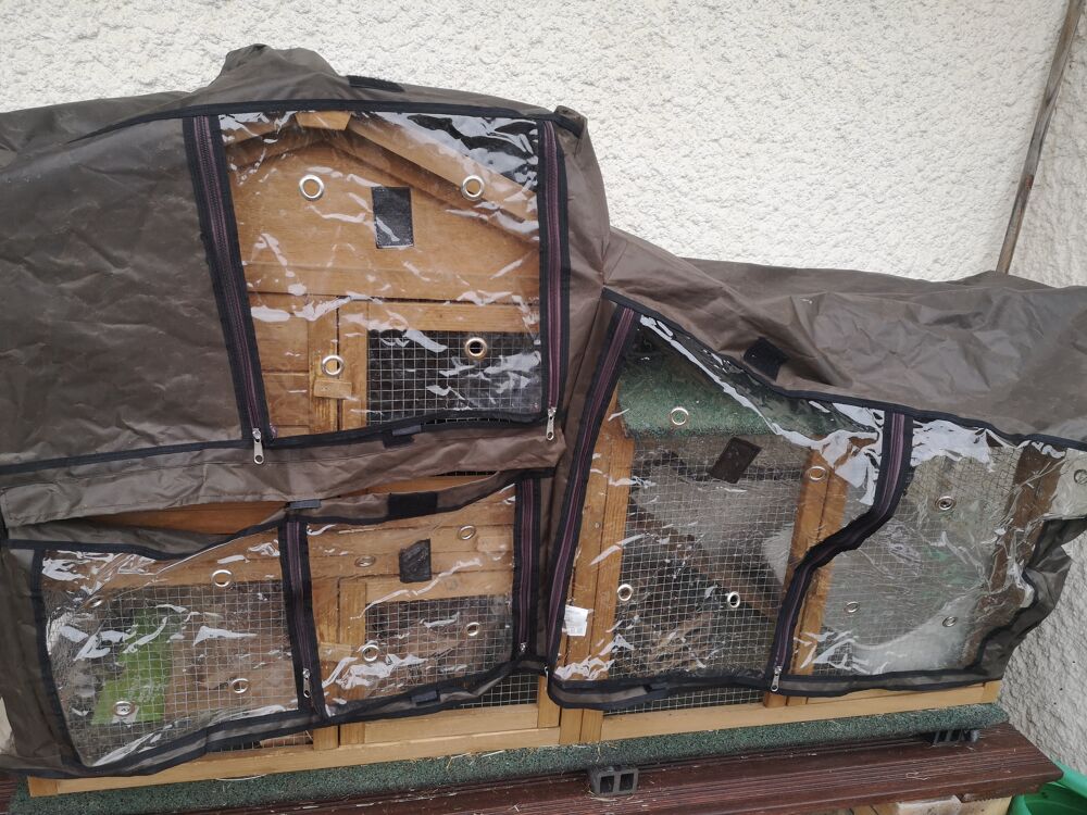 Maison en bois pour lapin Jardin