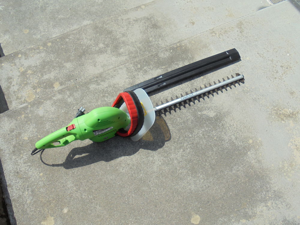 Taille haie Jardin