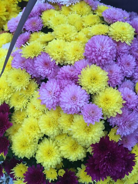  Parking / Garage  louer 12 m