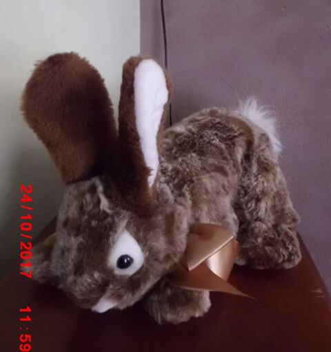 LAPIN MARRON CORA 16 Oignies (62)