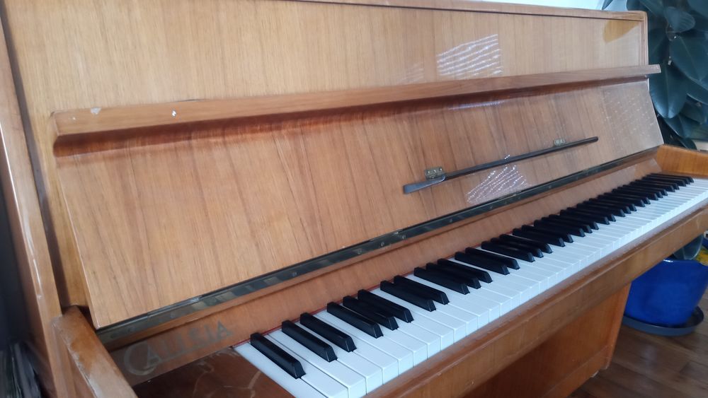 Piano d'&eacute;tude CALISIA marron clair Instruments de musique