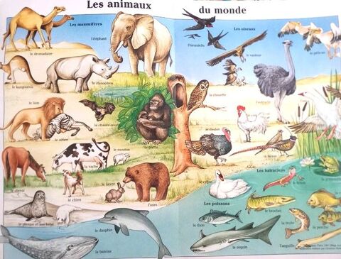 Poster  animaux du monde  2 Villeurbanne (69)