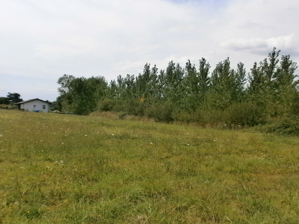 Vente Terrain Terrain construtible Aire-sur-l'adour