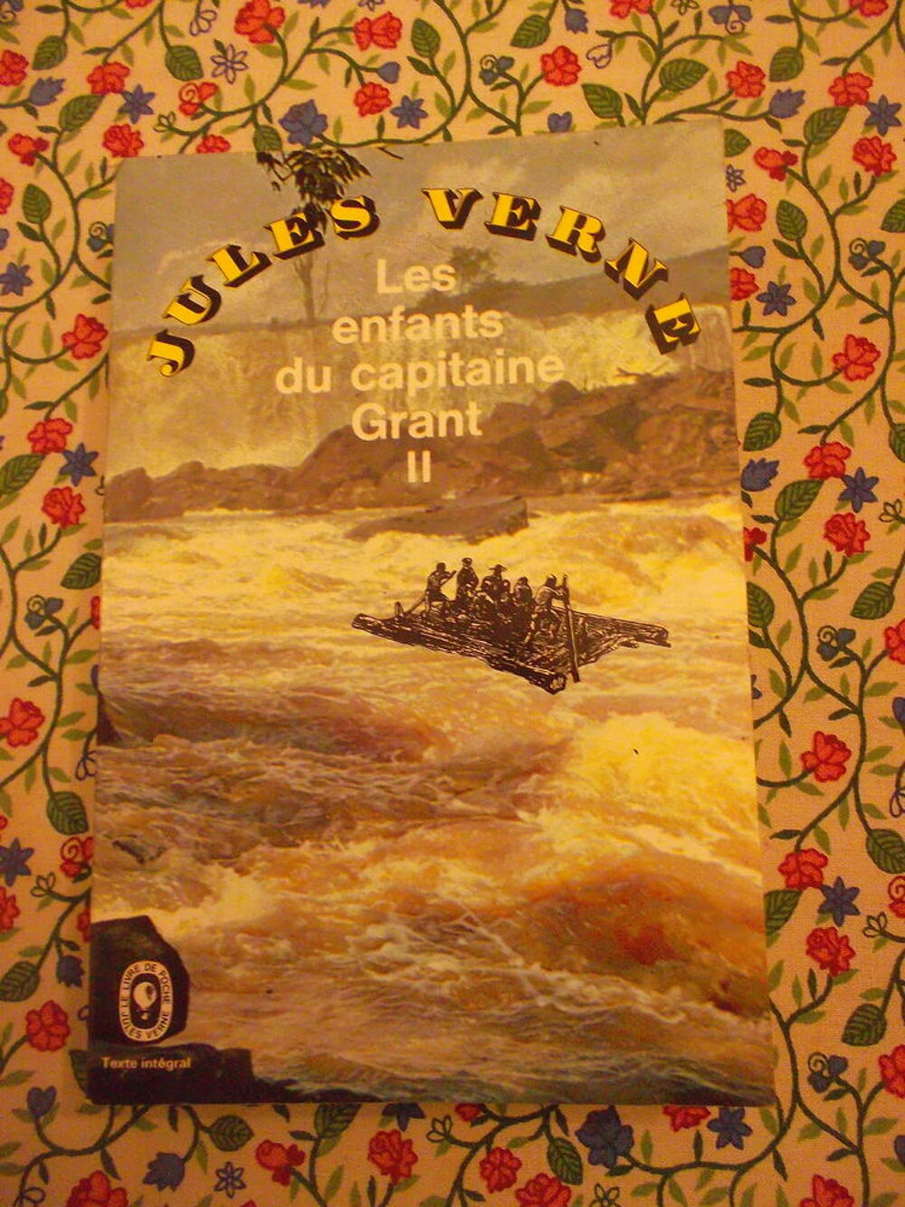 Les Enfants Du Capitaine Grant - Tomes 1 Et 2 Livres et BD