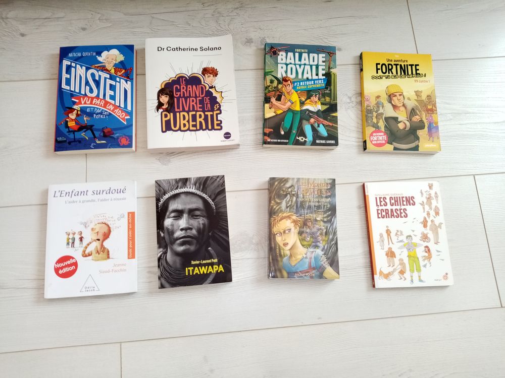 livre divers EINSTEIN fornite balade royale Livres et BD