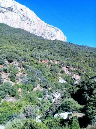  Terrain  vendre 2001 m Chefchaouen