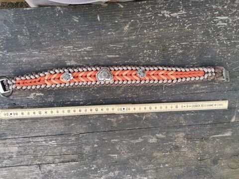 Collier pour Chien 22 71760 Grury