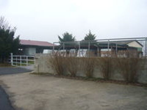   occasion 42210 Saint-Andr&eacute;-le-Puy