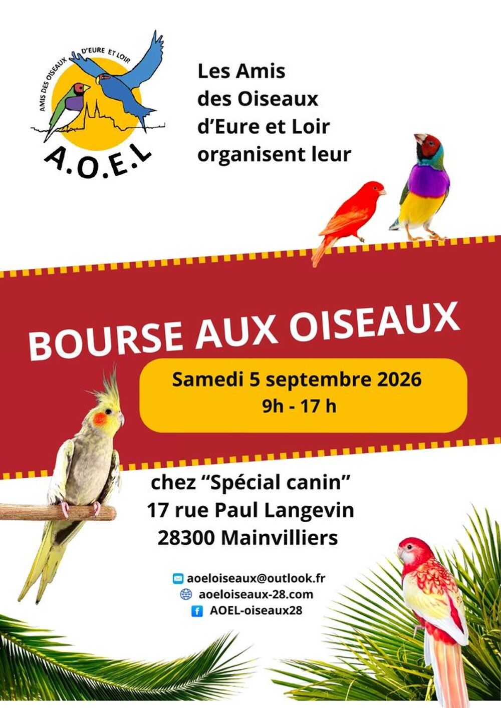   BOURSE AUX OISEAUX 