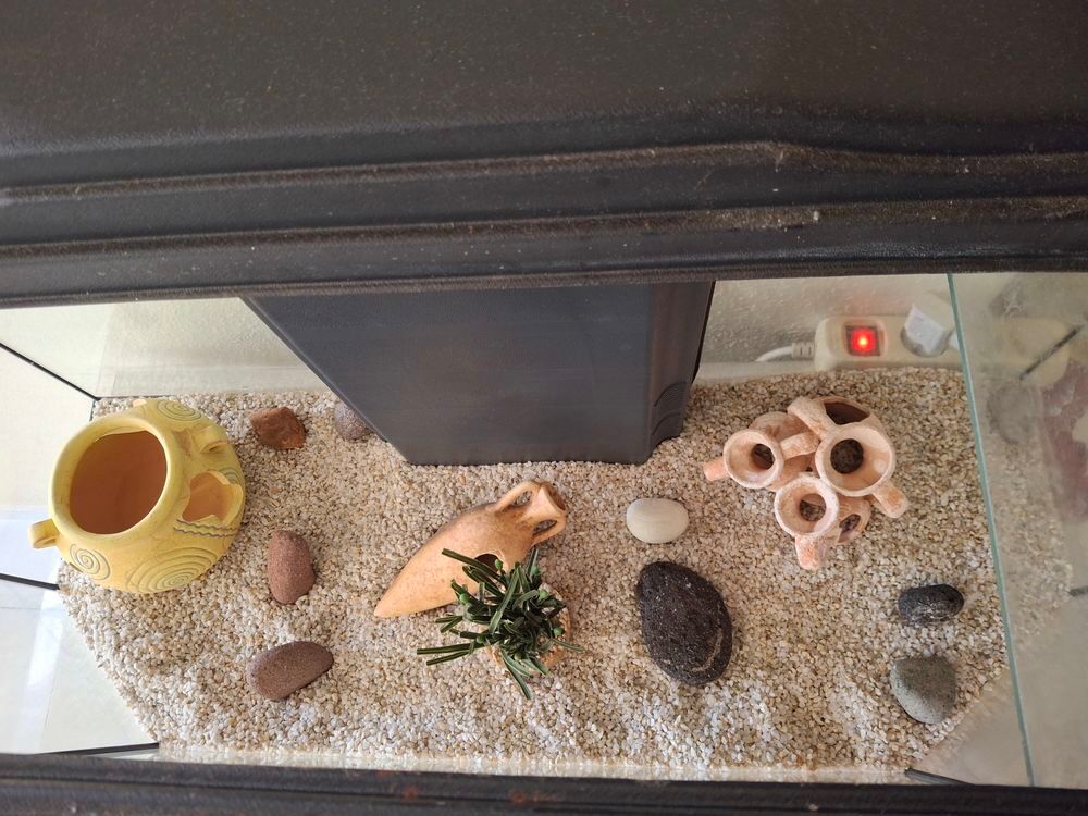 Aquarium et ses accessoires Décoration