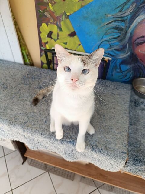 Lily Rose, j'ai tellement envie de vous conna&icirc;tre 280 56000 Vannes