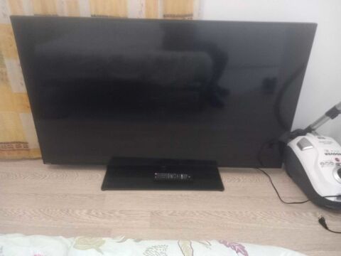 t�l� �cran plat 150 Tr�guier (22)