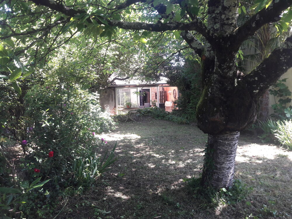 Location Maison Albi ville Maison de caractère meublée avec jardin Albi