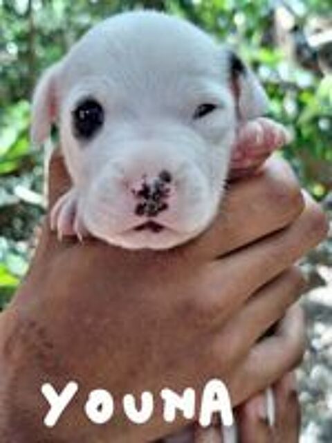   Youna, bébé câlin 
