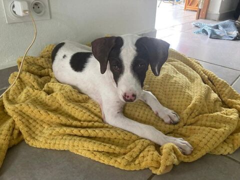 Je m'appelle LOVELY ! 300 45000 Orl�ans