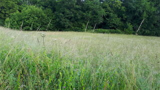  Terrain � vendre 4000 m�