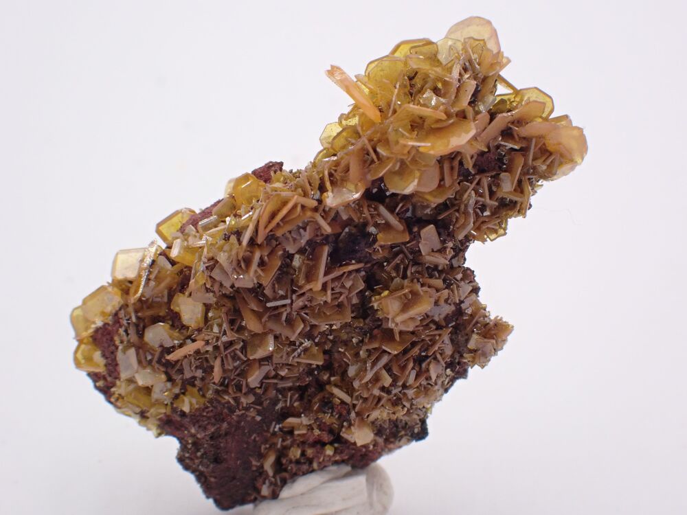 Wulf&eacute;nite San Francisco Mine Cerro Prieto Sonora Mexique 