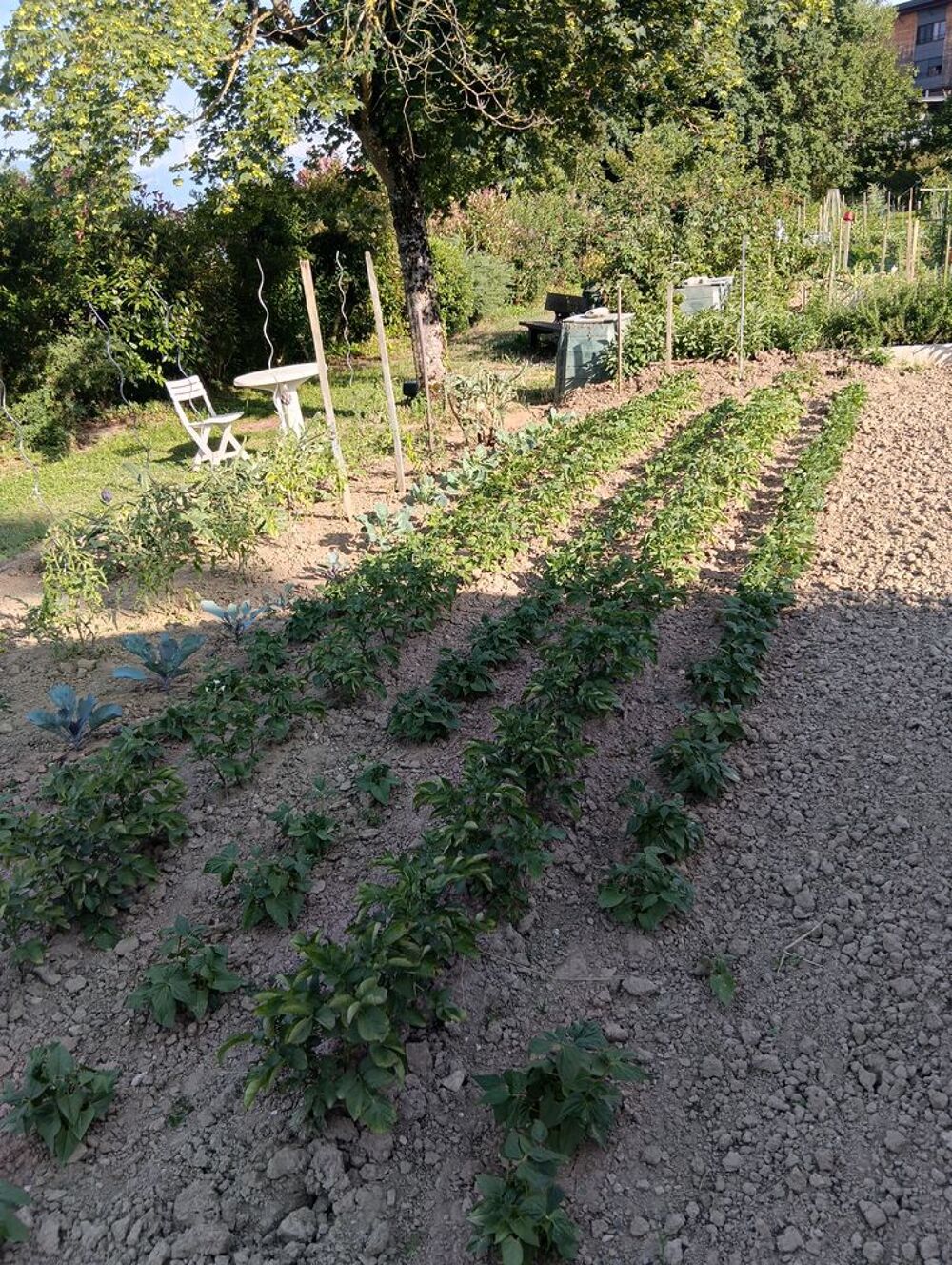   Bonjour je suis un jardin  
