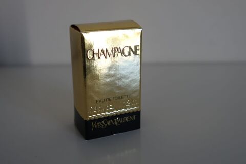 Miniature Champagne Yves Saint Laurent
6 Montcourt-Fromonville (77)