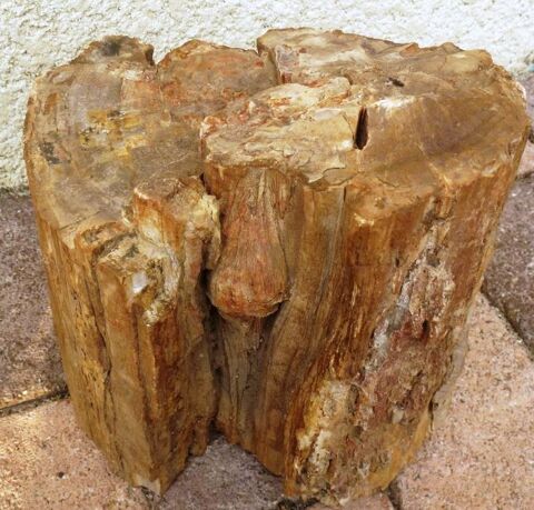 Bloc bois pétrifié du SOUDAN 0 Saint-Geoire-en-Valdaine (38)