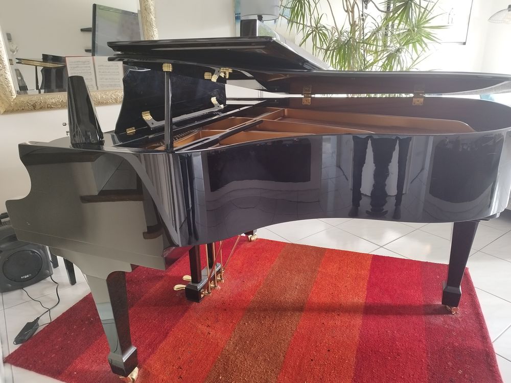 Piano euterpe Laque noir
Instruments de musique