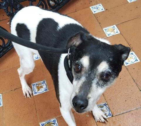 PEPE 320 27620 Gasny