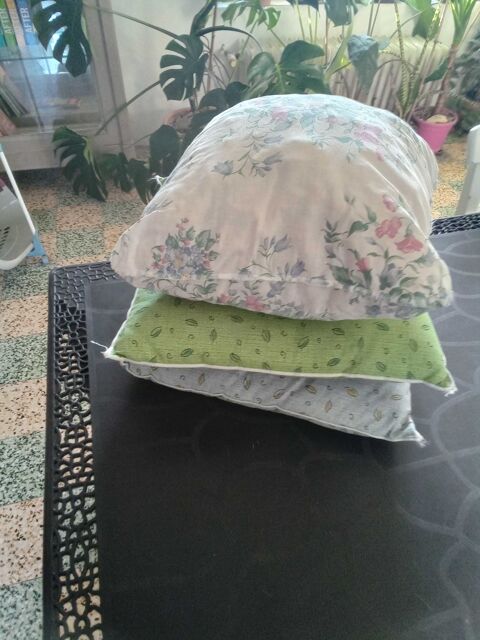 coussins sans housses 0 Blessy (62)