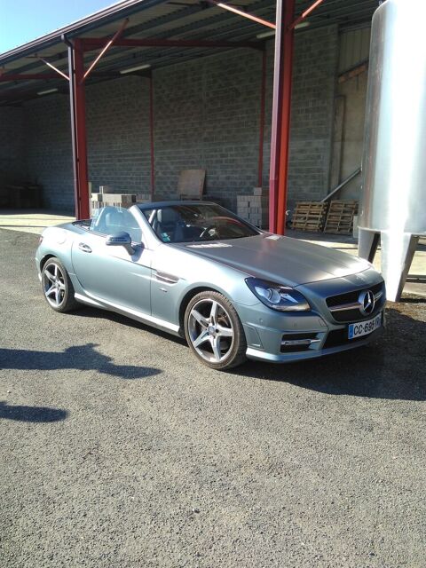 Mercedes SLK 350 K BlueEFFICIENCY A 2012 occasion M&eacute;nesplet 24700