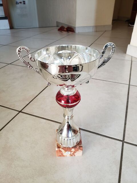 coupe de jeux 5 Viviers-du-Lac (73)