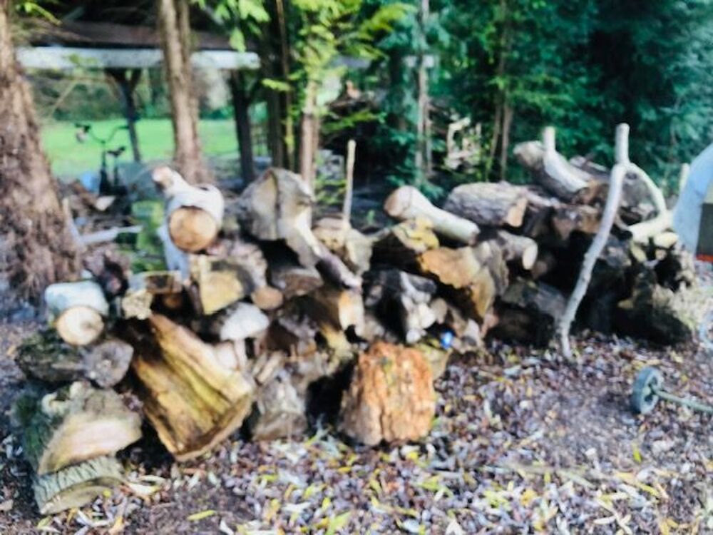 BOIS DE CHAUFFAGE Jardin