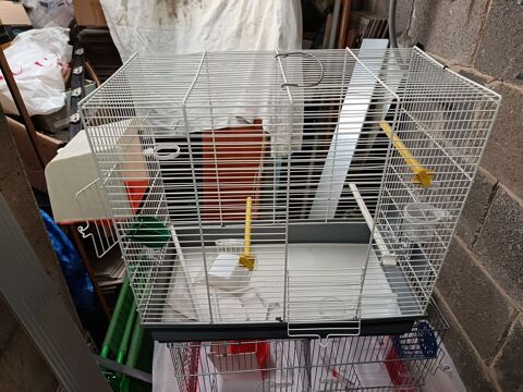 Cage pour 8 &agrave; 10 canaris compl&egrave;te tr&egrave;s bon &eacute;tat 35 76610 Le havre