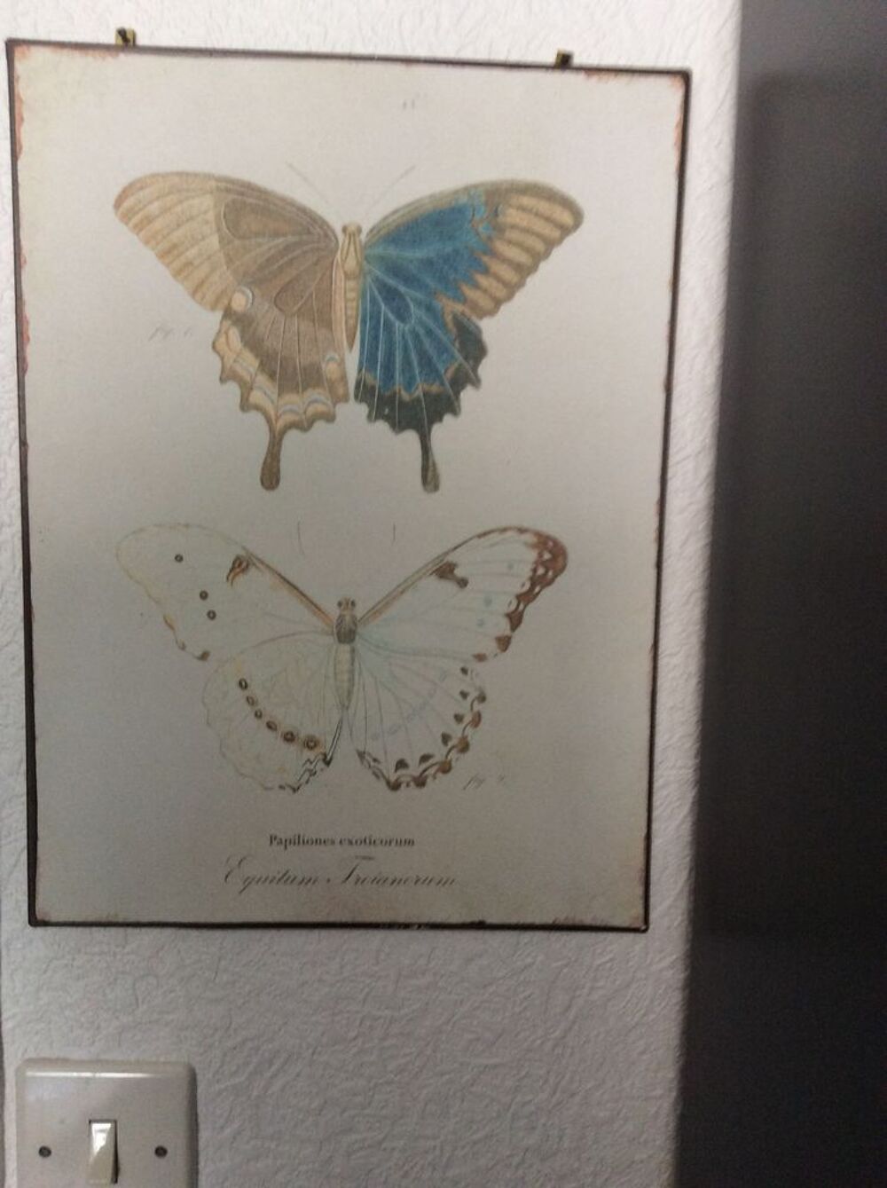 Tableau Décoration