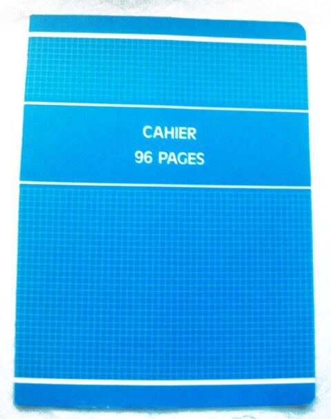 Cahier format 24 x 32, 96 pages, petits carreaux 1 Villeurbanne (69)