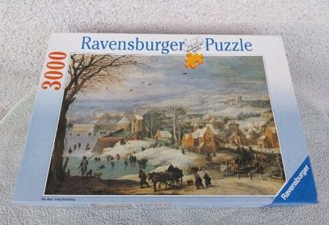 puzzle 3000 Ravensburger 10 Orléans (45)
