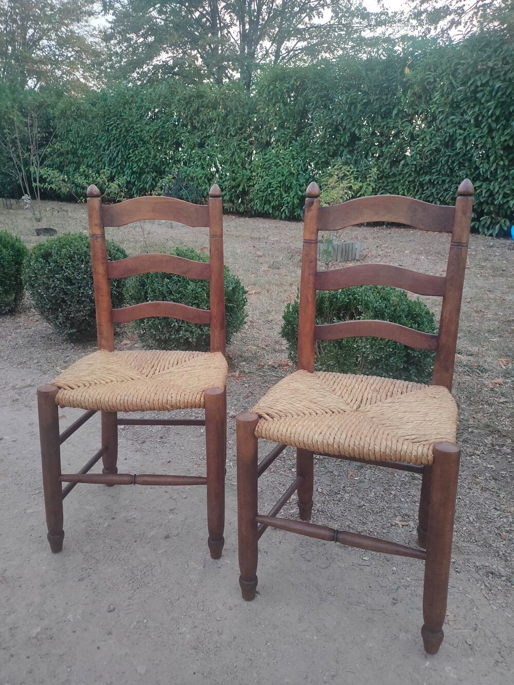 2 anciennes chaises en peuplier Meubles