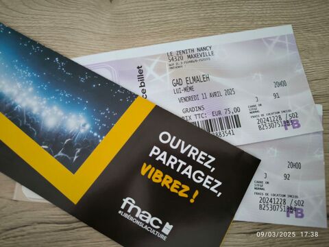 Billets concert Gad Elmaleh 140 Racrange (57)